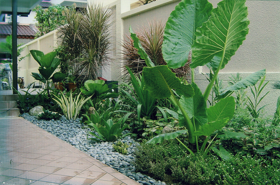 Welcome To Hawaii Landscape, Small Garden Design Singapore
